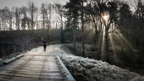 Person walking through frosty landscape